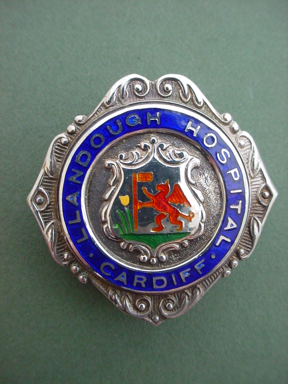 Cardiff Llandough Hospital Nurses Badge Peoples Collection Wales